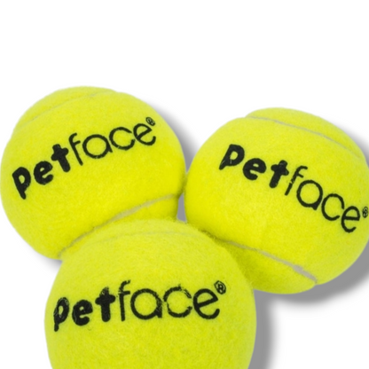 Tennis Balls 12 Pack