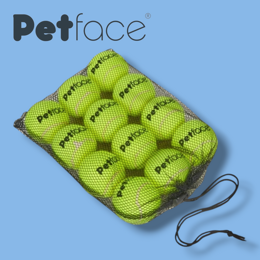 Tennis Balls 12 Pack