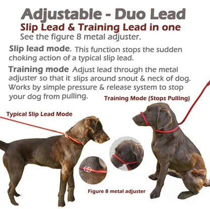 Reflective Dog Slip Lead With Rubber Handle