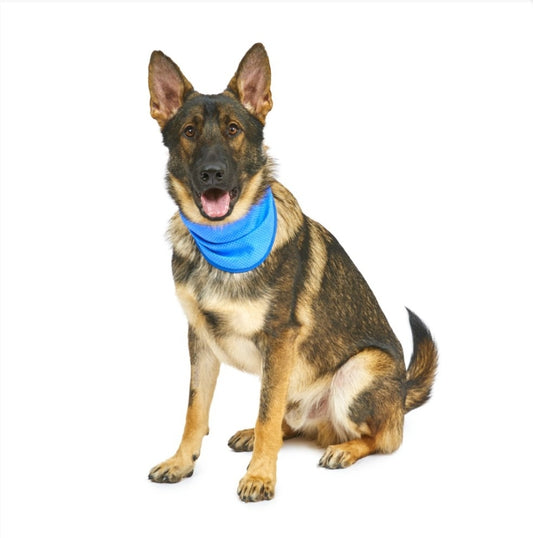 Dog Cooling Bandana