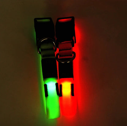 Miro & Makauri LED Flashing Dog Collar