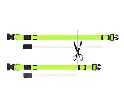 Miro & Makauri LED Flashing Dog Collar