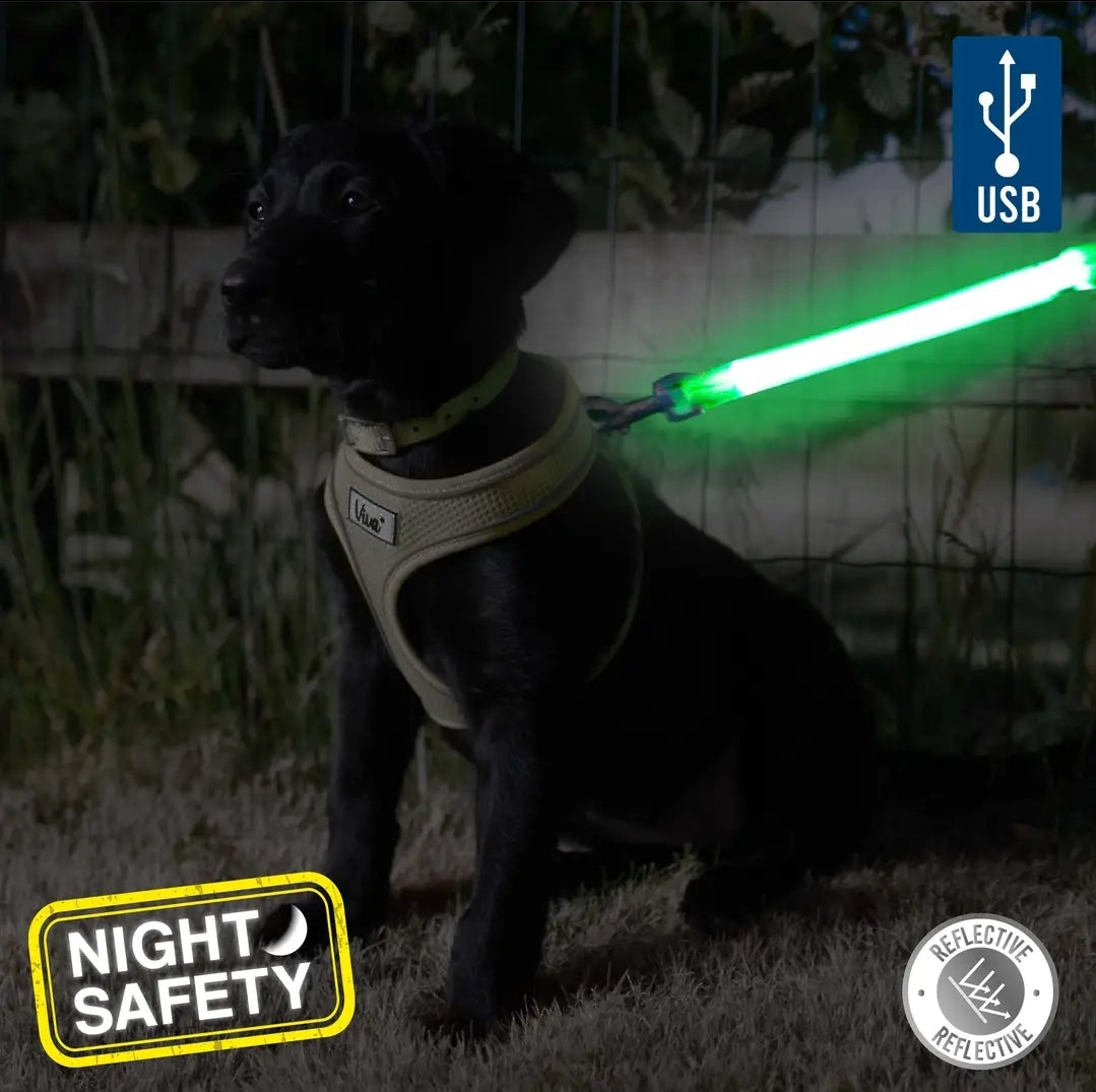 Hi-Vis Lead Attachment For Night Safety