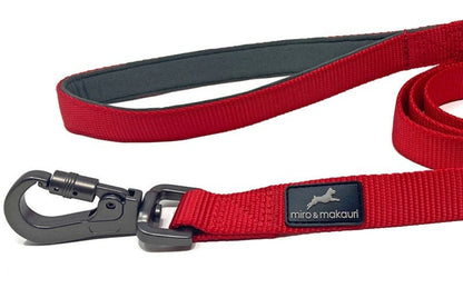 Carabiner Nylon Dog Lead