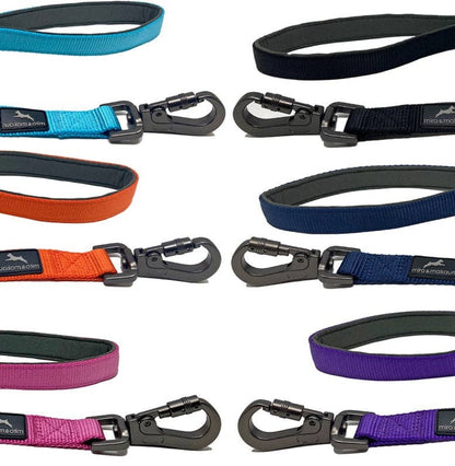 Carabiner Nylon Dog Lead