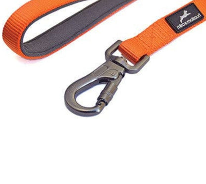 Carabiner Nylon Dog Lead