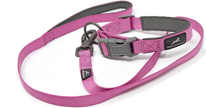 Carabiner Nylon Dog Lead