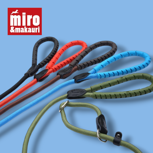 Slip Dog Lead With Rubber Handle